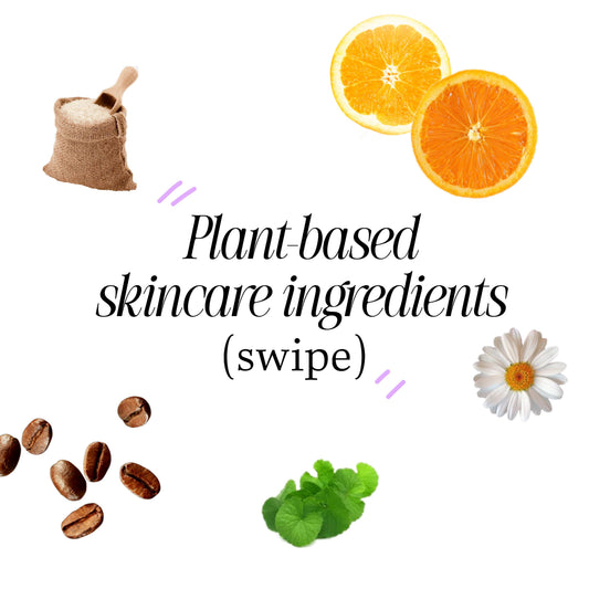 vegan skincare ingredients guide